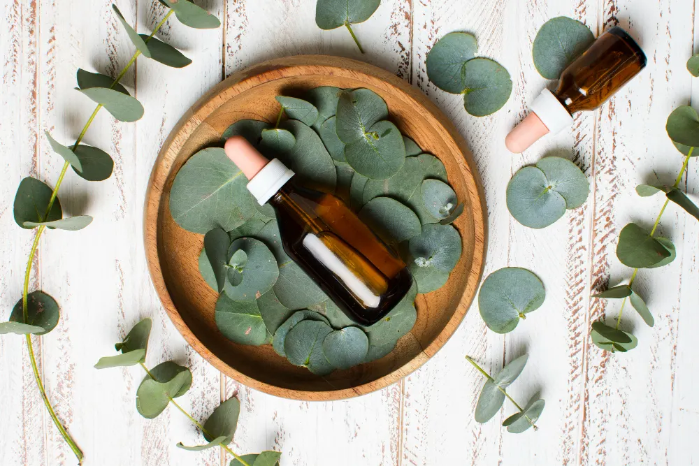 eucalyptus oil
